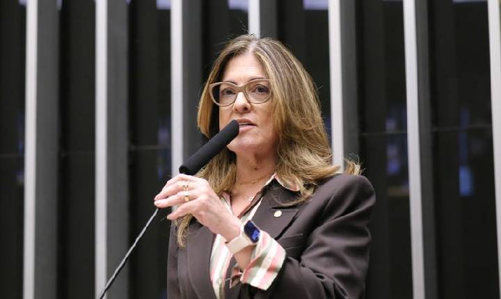 Comissão aprova projeto que permite programas de fidelidade com prazo maior para gestante