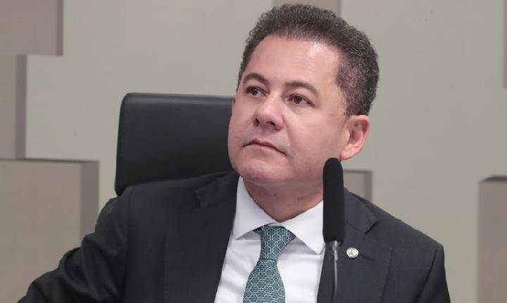 Comissão aprova selo Aeroporto Amigo do Pet para terminais com espaço destinado a cães e gatos