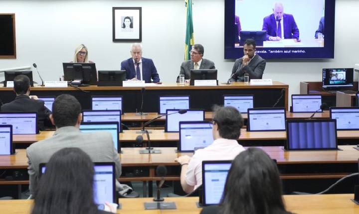 Debatedores relatam dificuldades para retirar passe livre interestadual de pessoas com deficiência