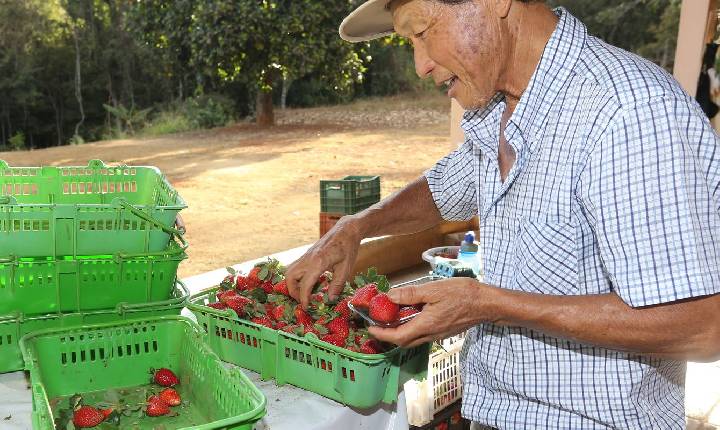 Finep vai pagar R$ 220 milhões para inovações em agricultura familiar 