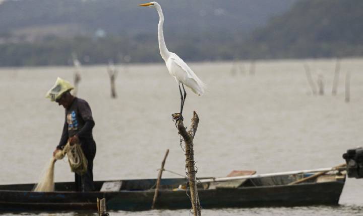Mudanças aprovadas para o seguro-defeso previnem fraudes, diz relator
