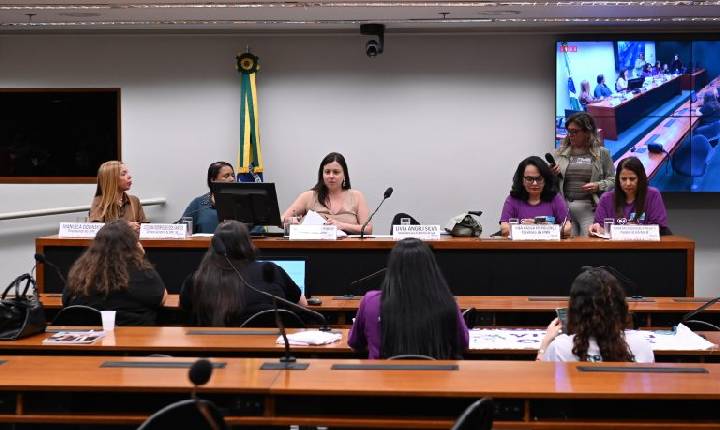 Nutricionistas pedem jornada de 30 horas e piso salarial em audiência na Câmara