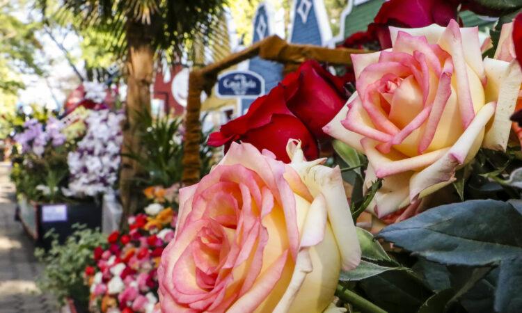 Expoflora vende ingressos com 70% de desconto até o dia 24 de junho