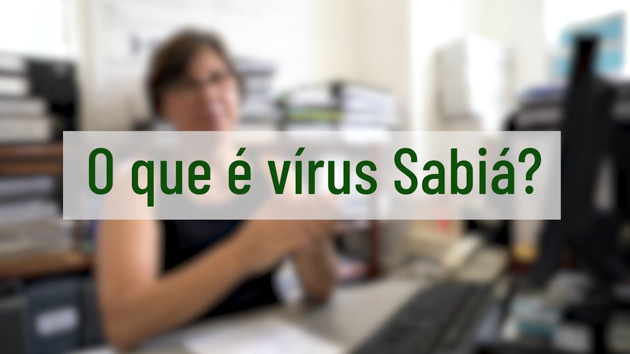 Vírus de alta letalidade ressurgido no Brasil após 20 anos é investigado pela USP