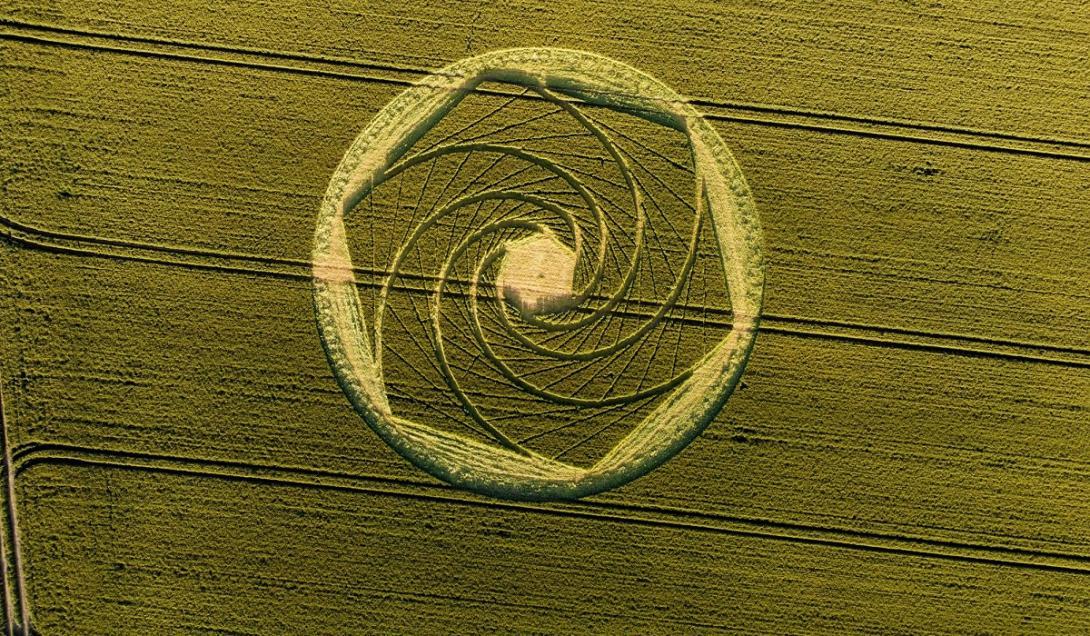 Misterioso círculo aparece em plantação de trigo no interior de Santa Catarina