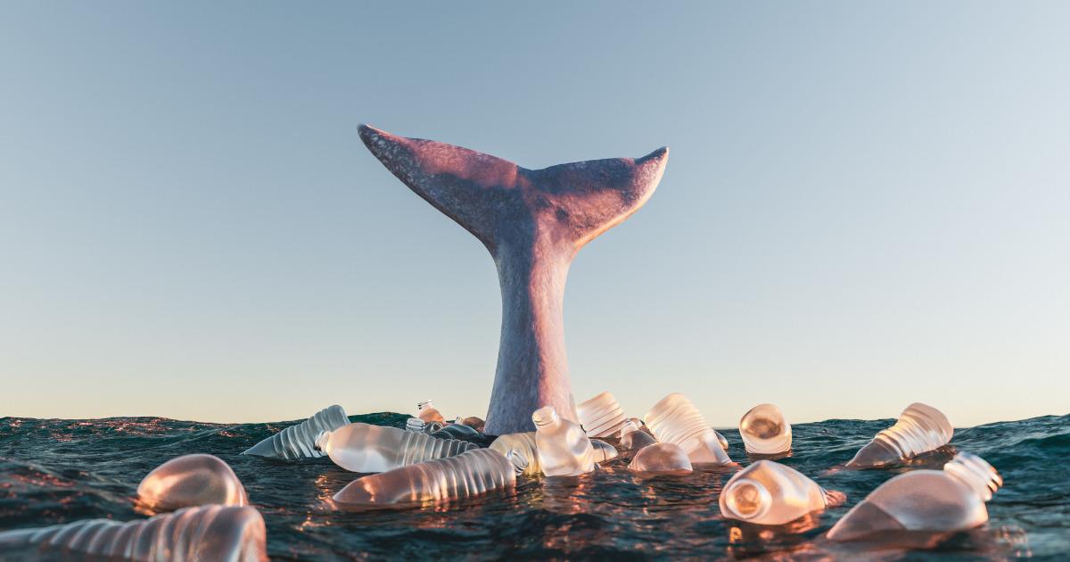 Pesquisadores identificam primeira doença causada por plástico