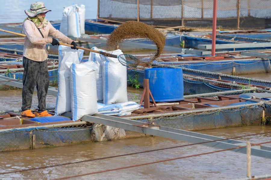 Prefeitura oferecerá visita técnica para interessados em investir na criação de peixes