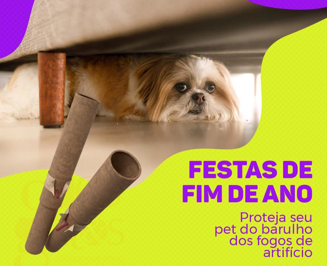 Quase 85% dos pets têm medo de fogos de artifício