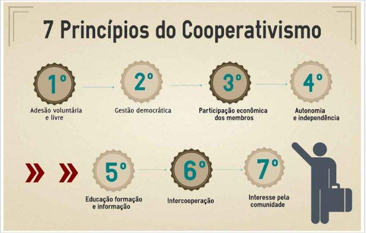Entenda como funcionam as cooperativas de trabalho no Brasil