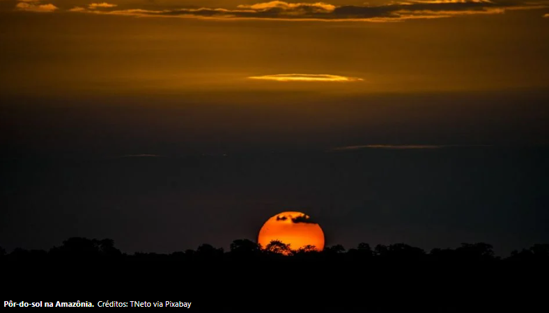 Como uma pequena ilha desabitada na Amazônia brasileira monitora o campo magnético da Terra