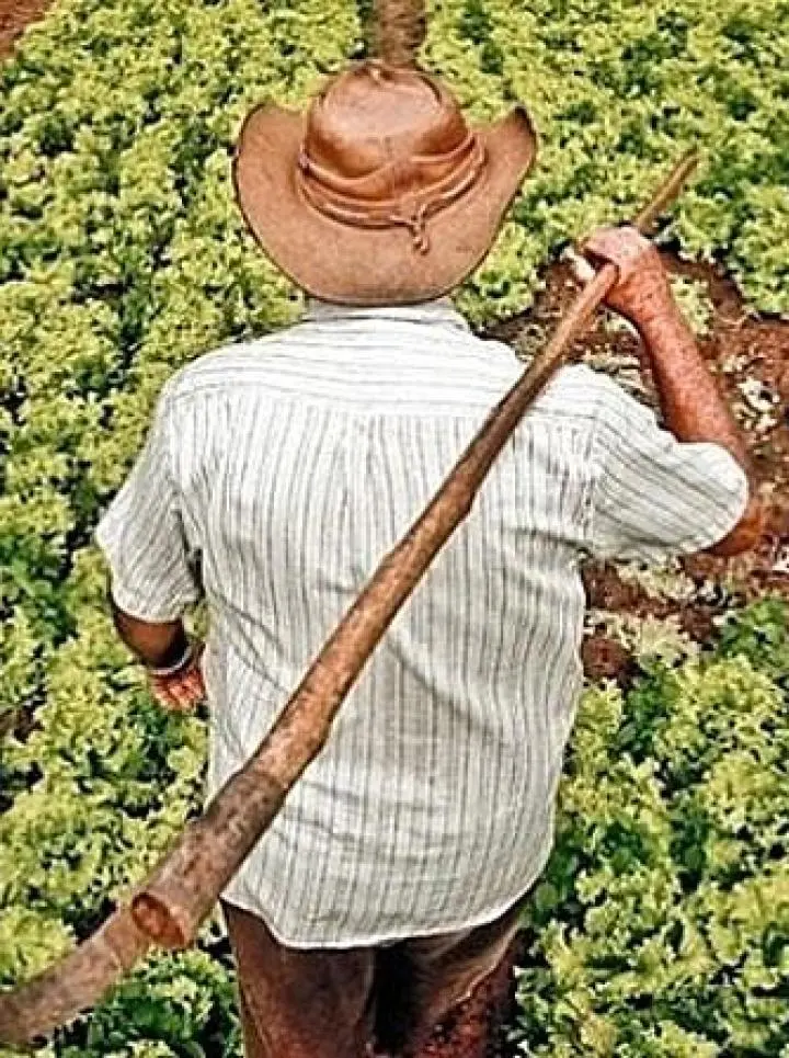 AGRICULTORES